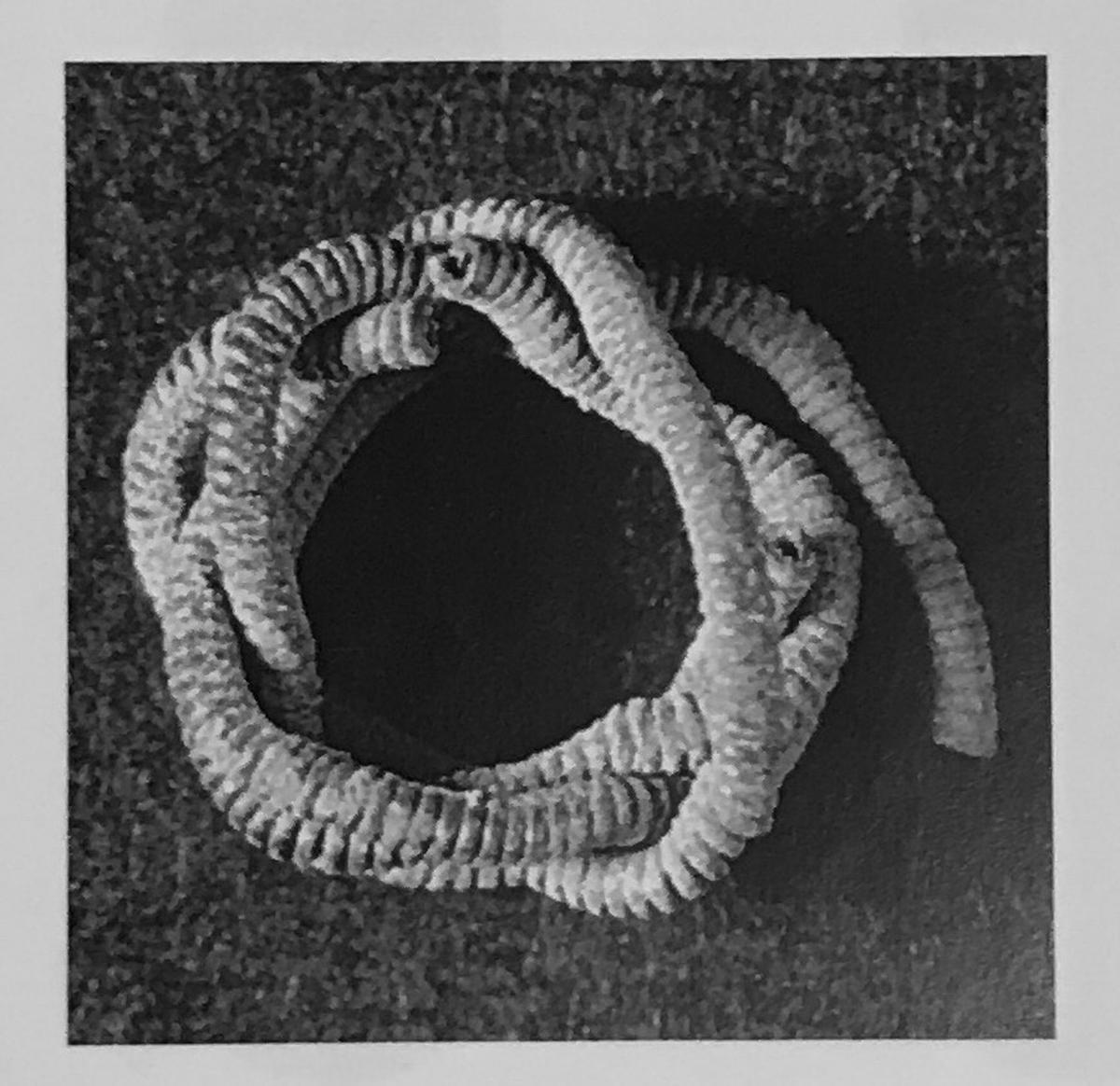 Image Spurensuchehaithabu_198