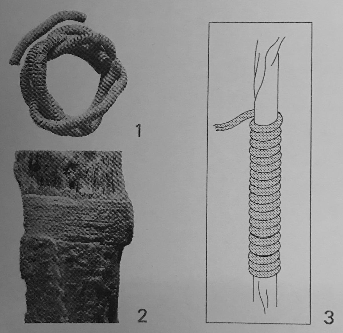 Image haithabu_29_abb124