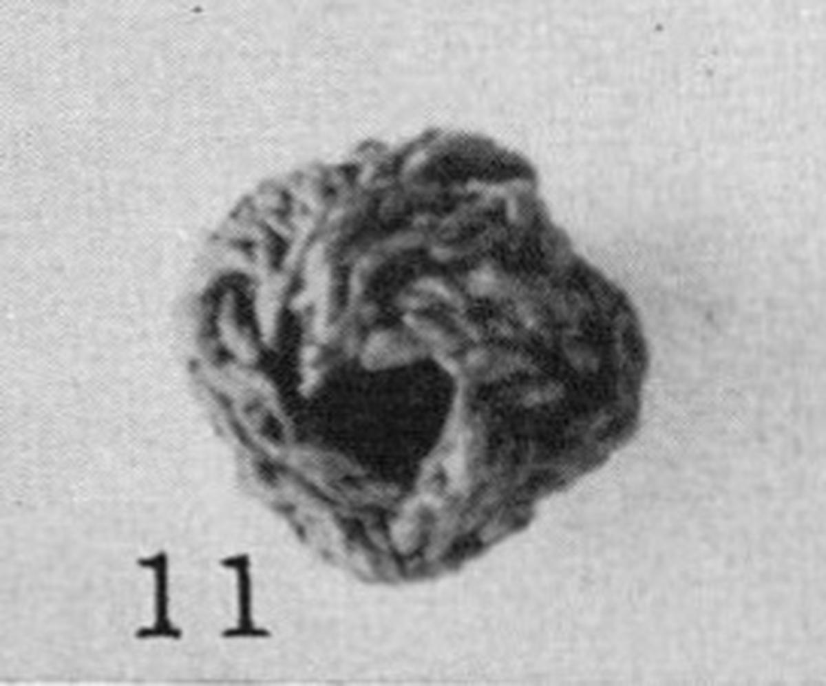 Image birka3_taf28_11