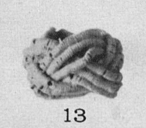 Image birka3_taf28_13