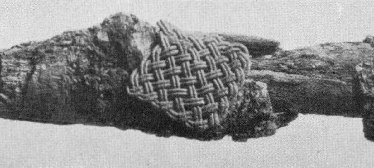 Image birka3_taf28_14