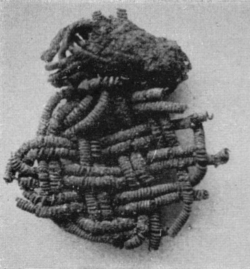 Image birka3_taf28_1