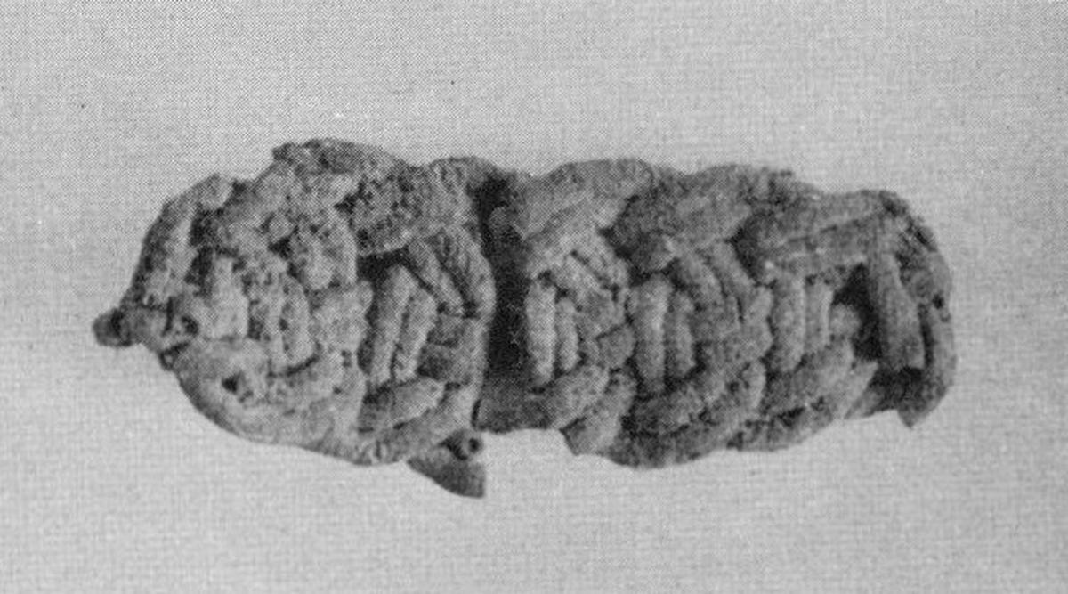 Image birka3_taf28_4