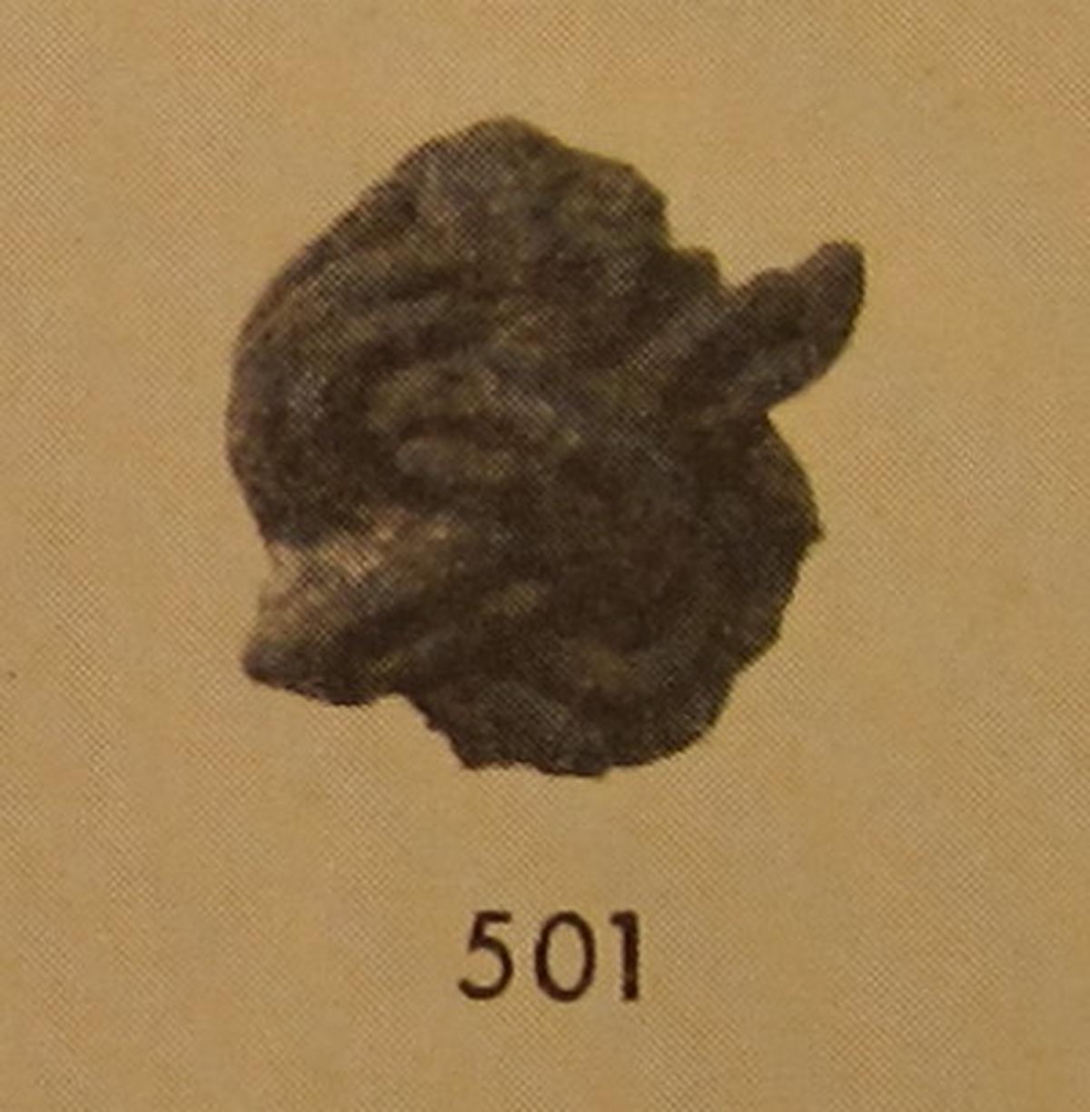 Image thorvildsen1957-fig69-501.jpg